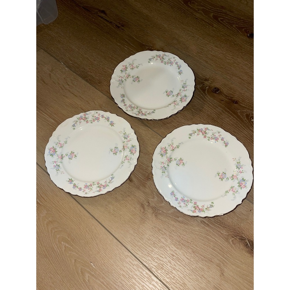 Vintage Floral Scalloped Dinner Plates Set of 3 Pink Blue Flowers Silver Trim 9"